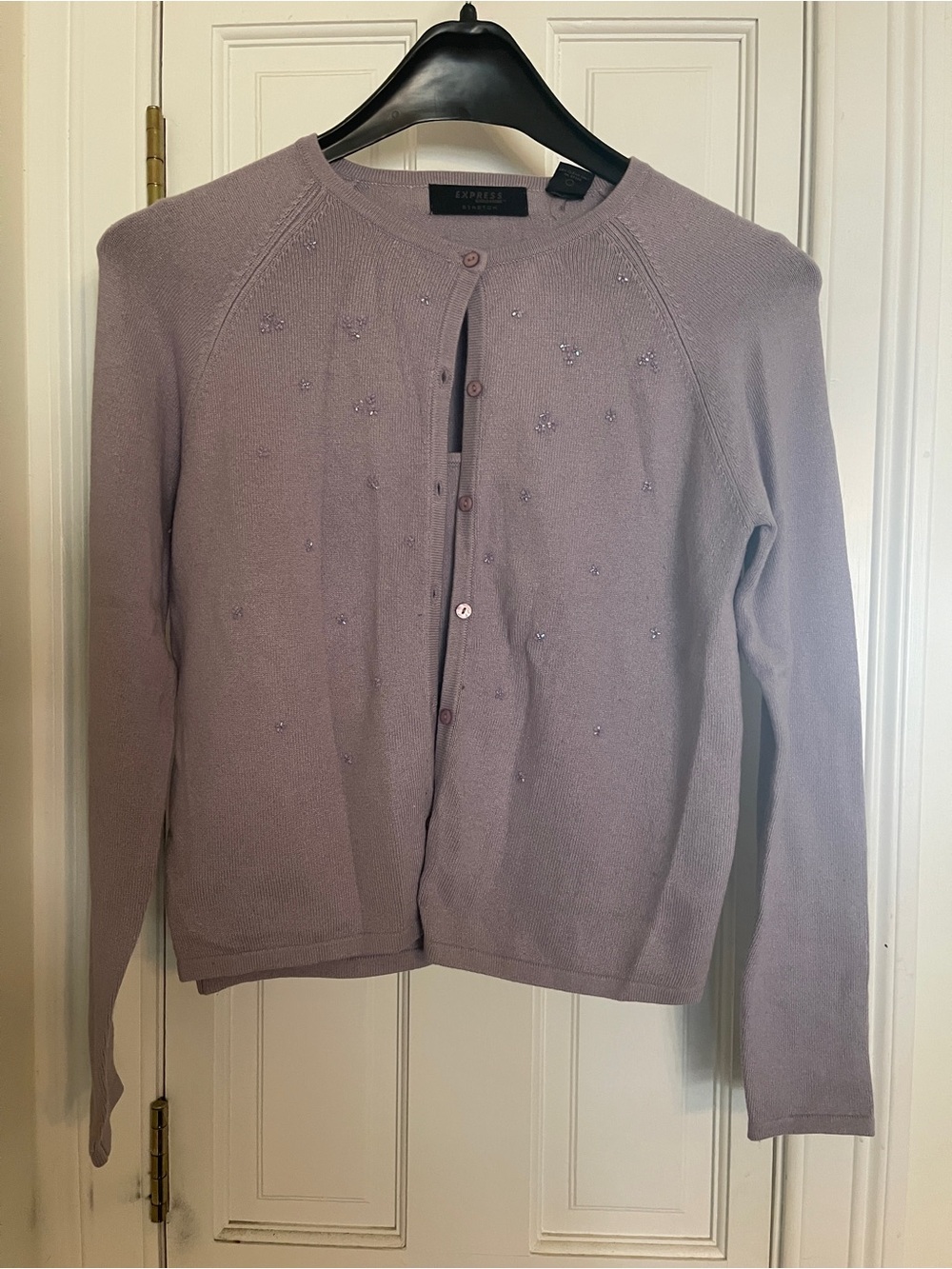 Express Lavender Crewneck Sweater and Cami